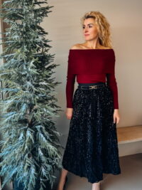 Krilo BIRGIT